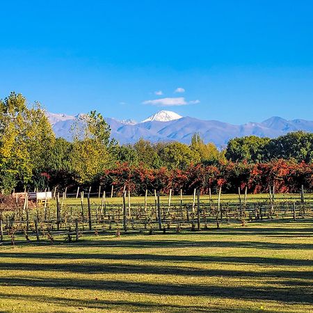 Finca La Saucina Casa De Campo Tunuyán Zewnętrze zdjęcie