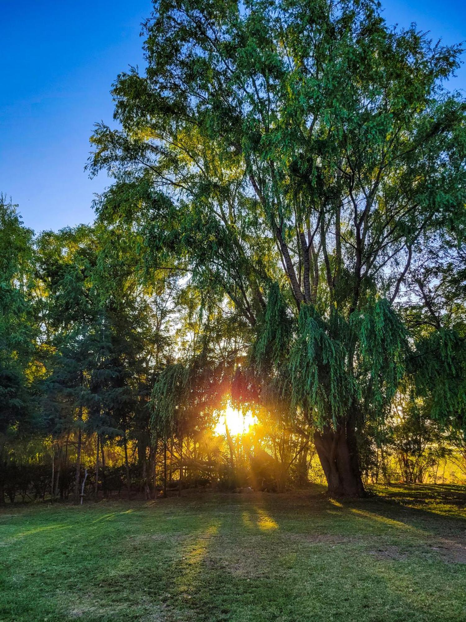 Finca La Saucina Casa De Campo Tunuyán Zewnętrze zdjęcie